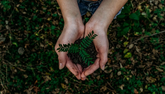 Deep Ecology 101: History, Philosophy, Acceptance, and the Criticism Every Student Should Know